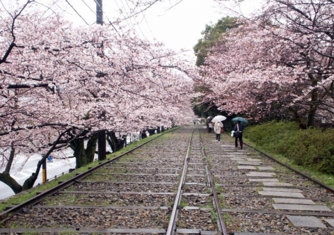 Chemin de philosophe