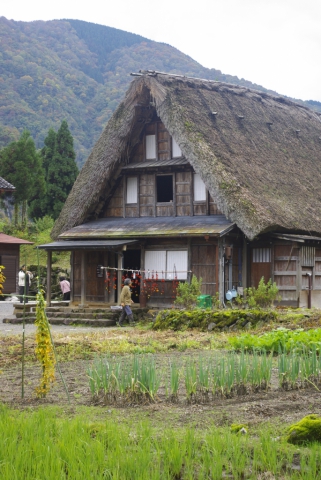 Village Gokayama