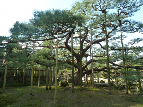 Village Gokayama