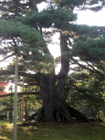 Parc Kenrokuen