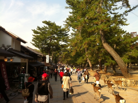 Parc Nara
