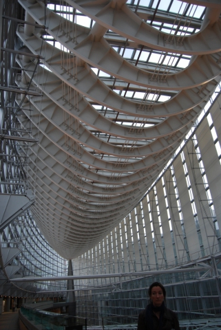 Forum international, Raphael Vinoly