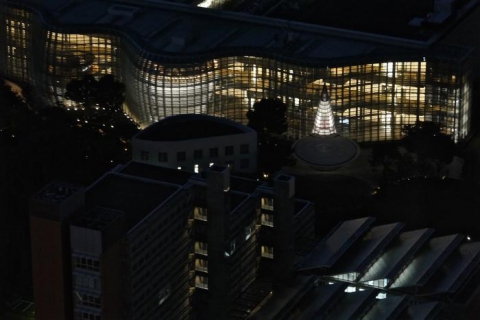 National Art Gallery, Kisho Kurokawa