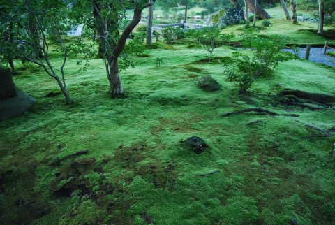 Murin-an, Jihei Ogawa