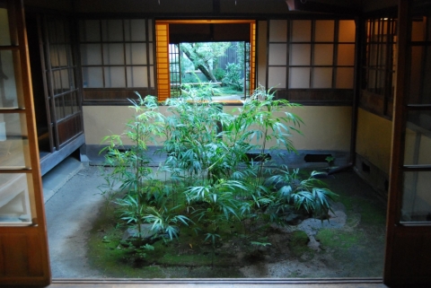 Murin-an