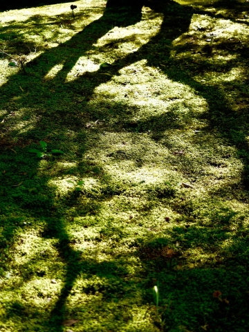 Katsura rikyu (photo: Sylvie la Gabrielle)