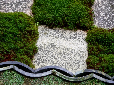 Tofukuji Honbo garden, Mirei Shigemori (photo: Sylvie Lagabrielle)