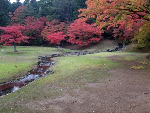 Motsuji Teien