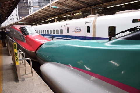 Tohoku Shinkansen