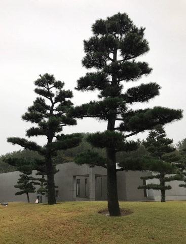 Ken Domon Museum of photography, Yoshio Taniguchi