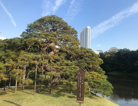 Koishikawa Korakuen