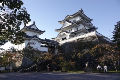 château d'Ueno