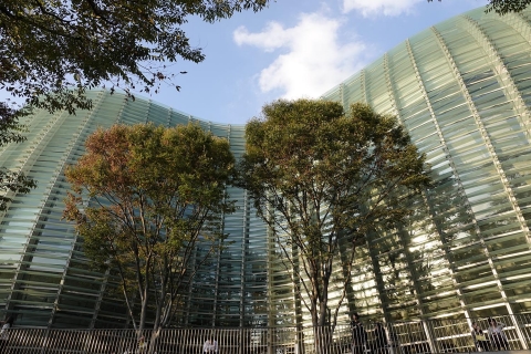 The National art gallery
