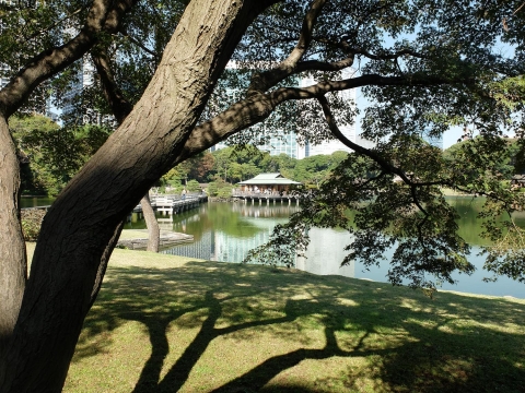 Hamarikyu