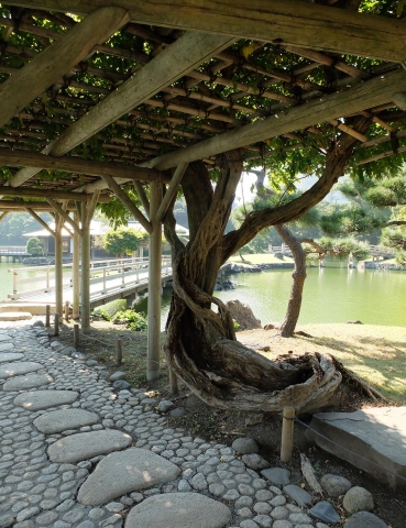 Hamarikyu