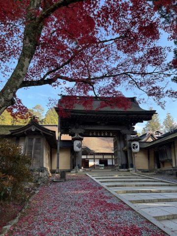 Kongo Buji