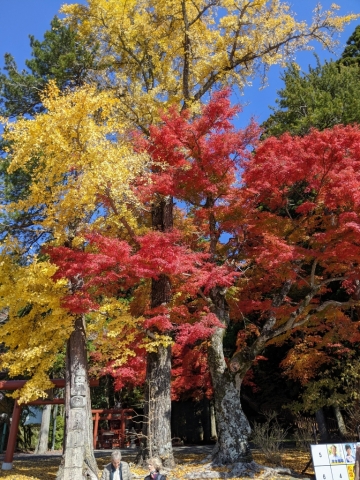 Koyasan