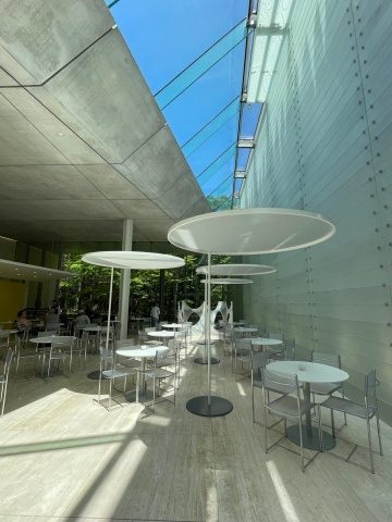 Pola Museum of Art