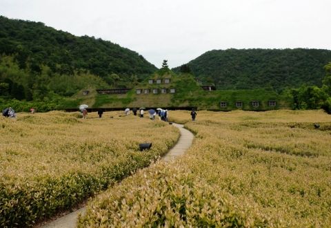 La Colina Omi Hachiman