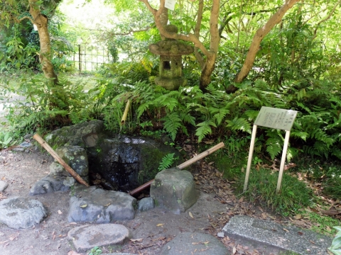Jardin Botanique de Kyoto + suikinkutsu